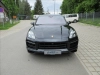1150-2.webp