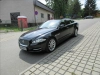 1172-1.webp