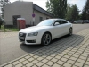 1182-1.webp