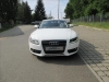 1182-2.webp