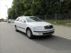 1212-3.webp